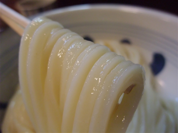 img20090408_4.jpg