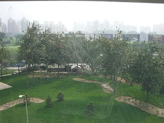 060706-garden.jpg