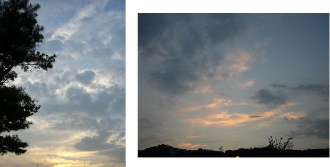 kumo.jpg