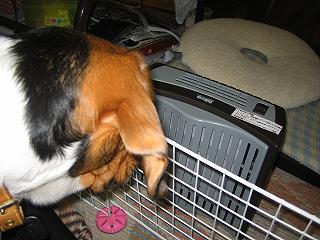 img20050111_1.jpg
