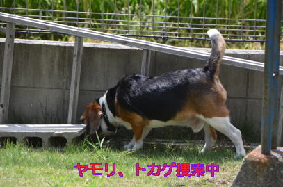 8月27日 0041