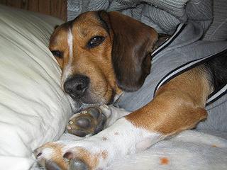 img20050115.jpg