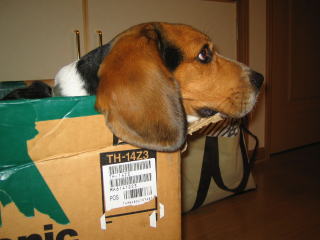 img20060228_1.jpg