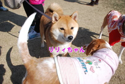 3月26日 1121