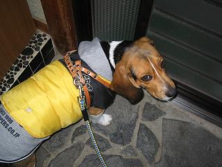 img20050115_1.jpg