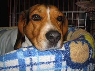 img20050228_2.jpg