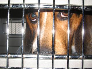 img20050109_2.jpg