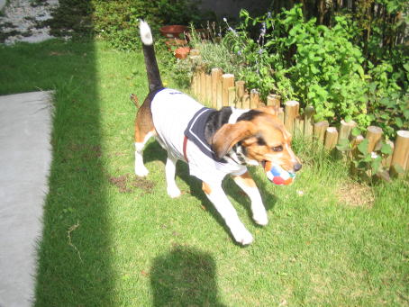 img20070701_2.jpg