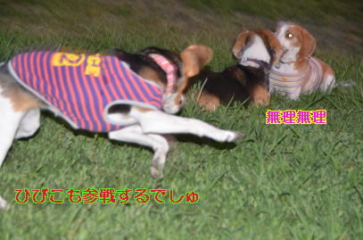 9月23日 1271
