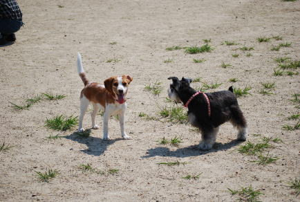 img20090429.jpg