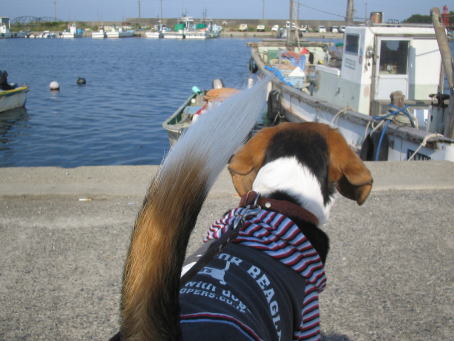 img20070503_3.jpg