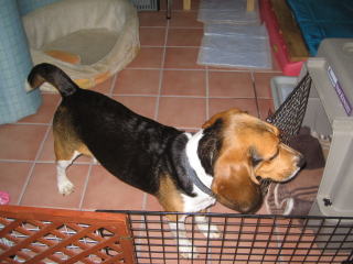 img20060531.jpg