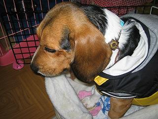 img20050115_2.jpg