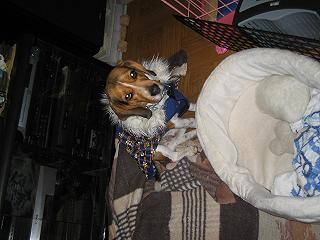img20050131_2.jpg