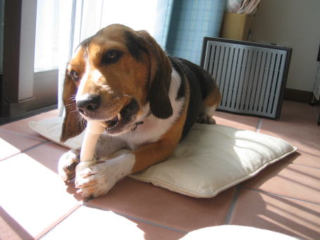 img20061029_5.jpg