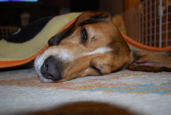 img20080224_3.jpg