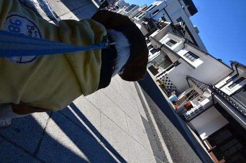 2月20日14