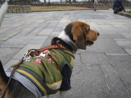 img20070121_4.jpg