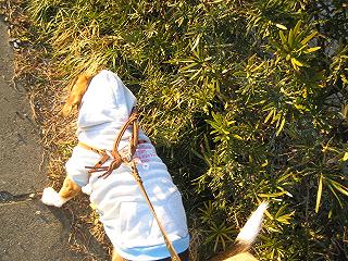img20050109_3.jpg