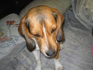 img20050228.jpg