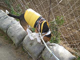 img20050117.jpg