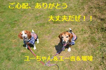 エー吉