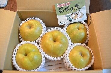 梨