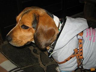img20050109_4.jpg