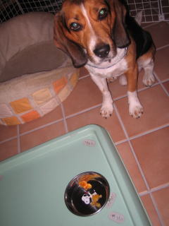 img20060702_1.jpg