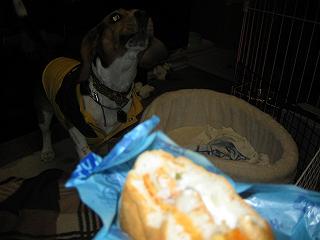 img20050117_2.jpg