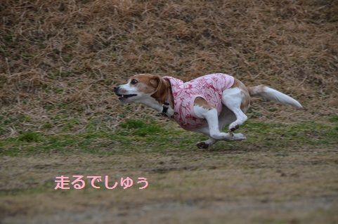 瑠唯1