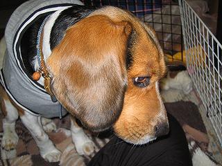 img20050111.jpg