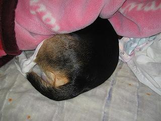 img20050131.jpg