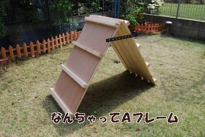 4月24日 0041