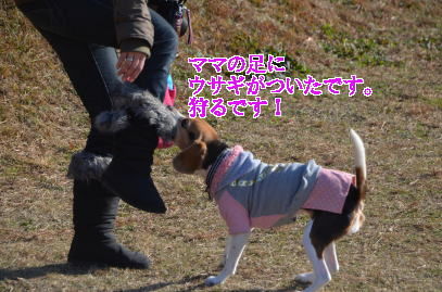 12月25日 1271