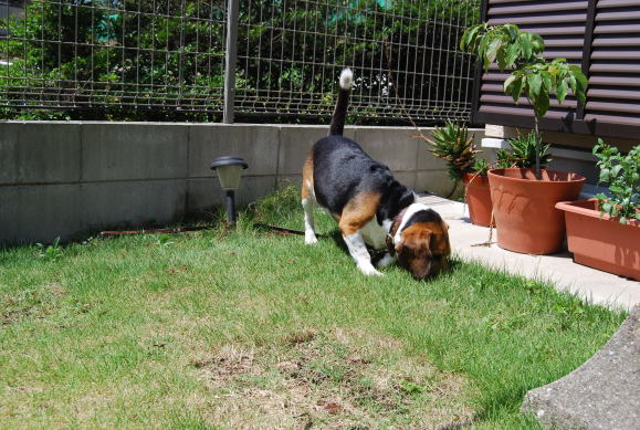 img20080831.jpg