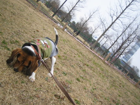 img20070121.jpg