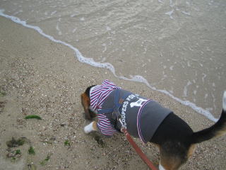 img20060827_5.jpg