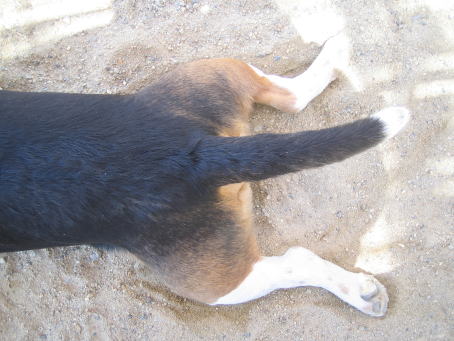 img20070503_1.jpg