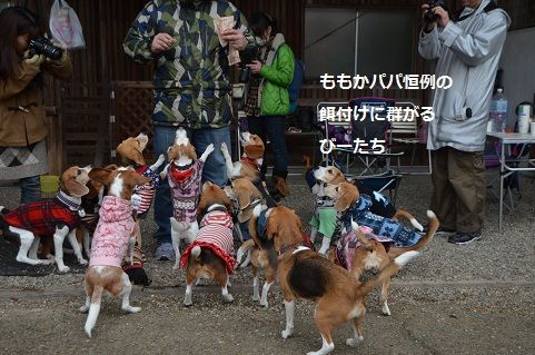 ももかパパ
