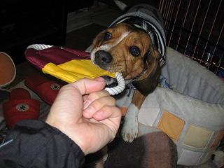 img20050111_2.jpg