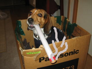 img20060228.jpg