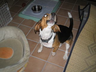 img20060531_1.jpg