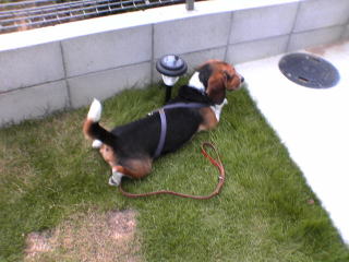 img20060801_1.jpg