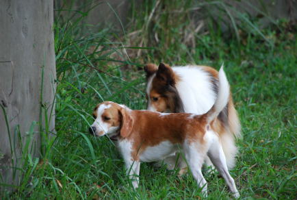 img20090831_1.jpg