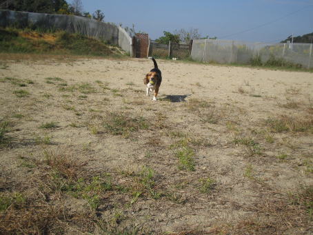 img20061029_3.jpg