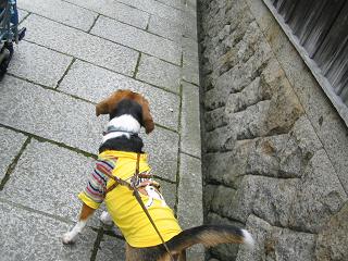 img20050725_2.jpg