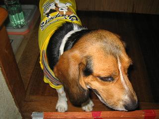 img20050725.jpg