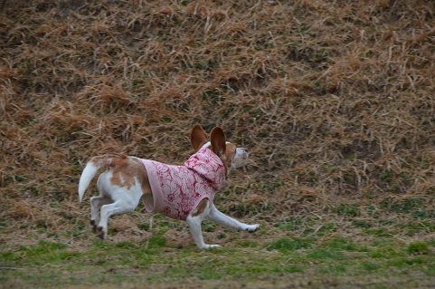 瑠唯4