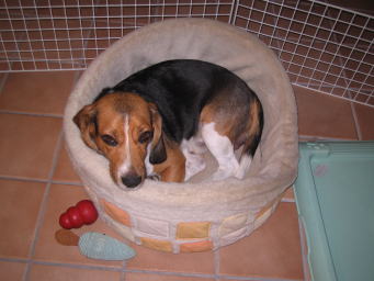 img20060930_3.jpg
